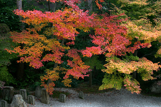 kyoto_autumn02