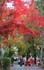 kyoto_autumn06