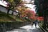 kyoto_autumn07