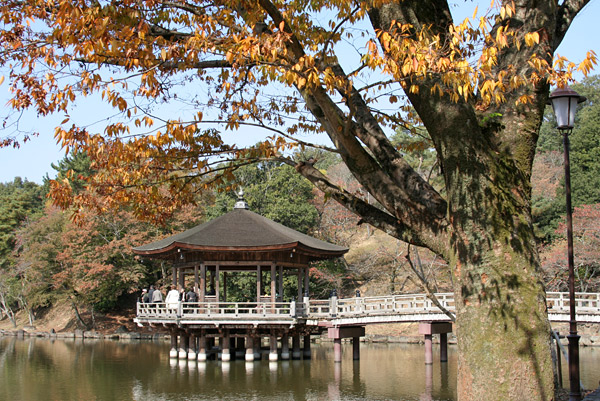 narakoen_autumn08