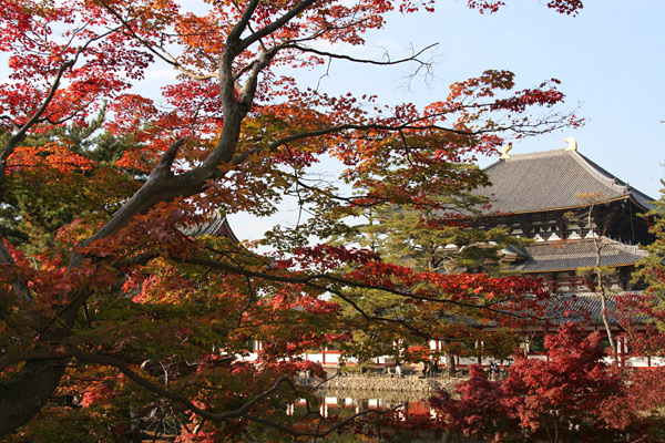 narakoen_autumn21