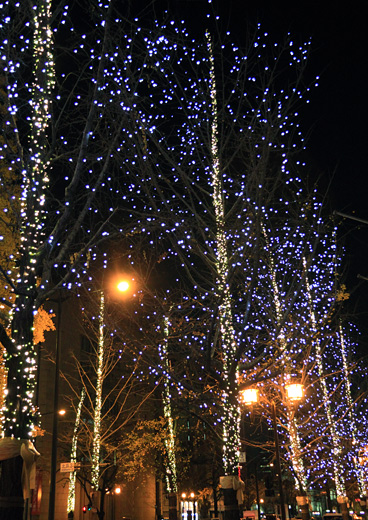 osaka_illumination03