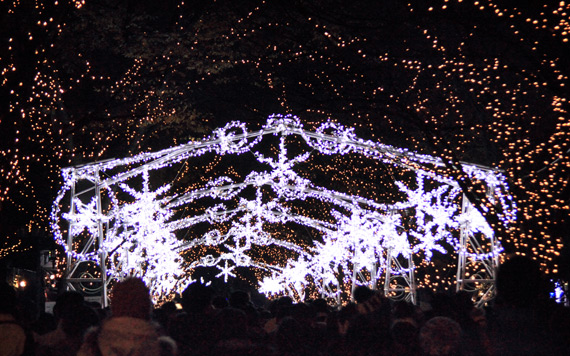 osaka_illumination08