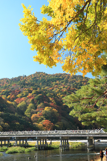 saga_arasiyama03