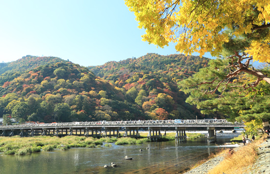 saga_arasiyama04